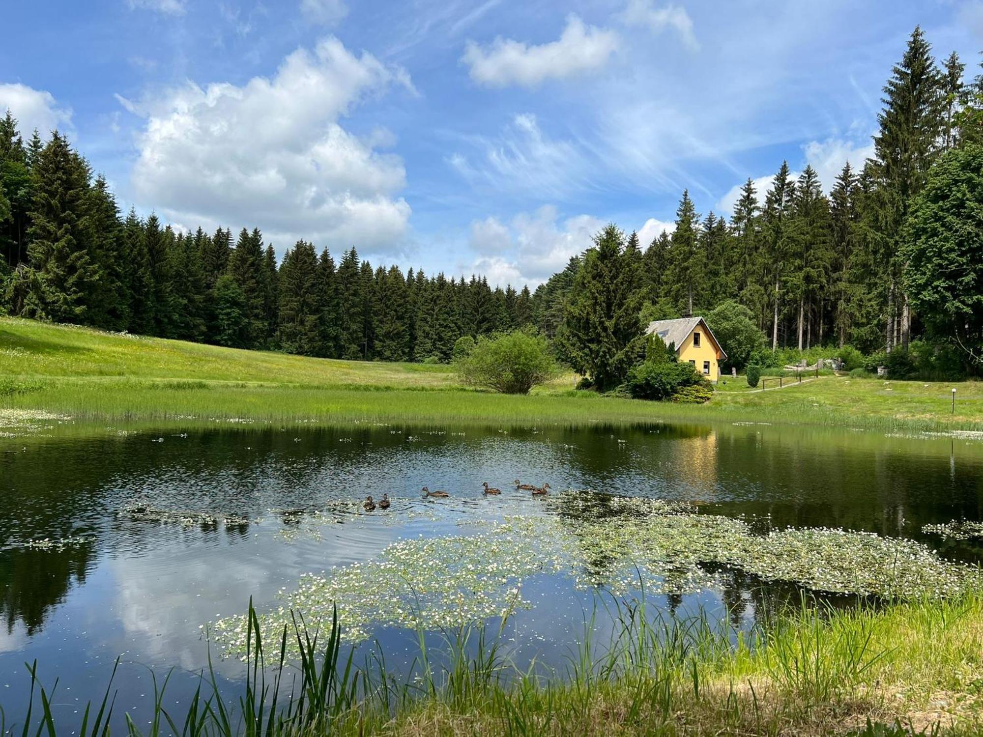 Berghotel Talblick Хольцхау Экстерьер фото