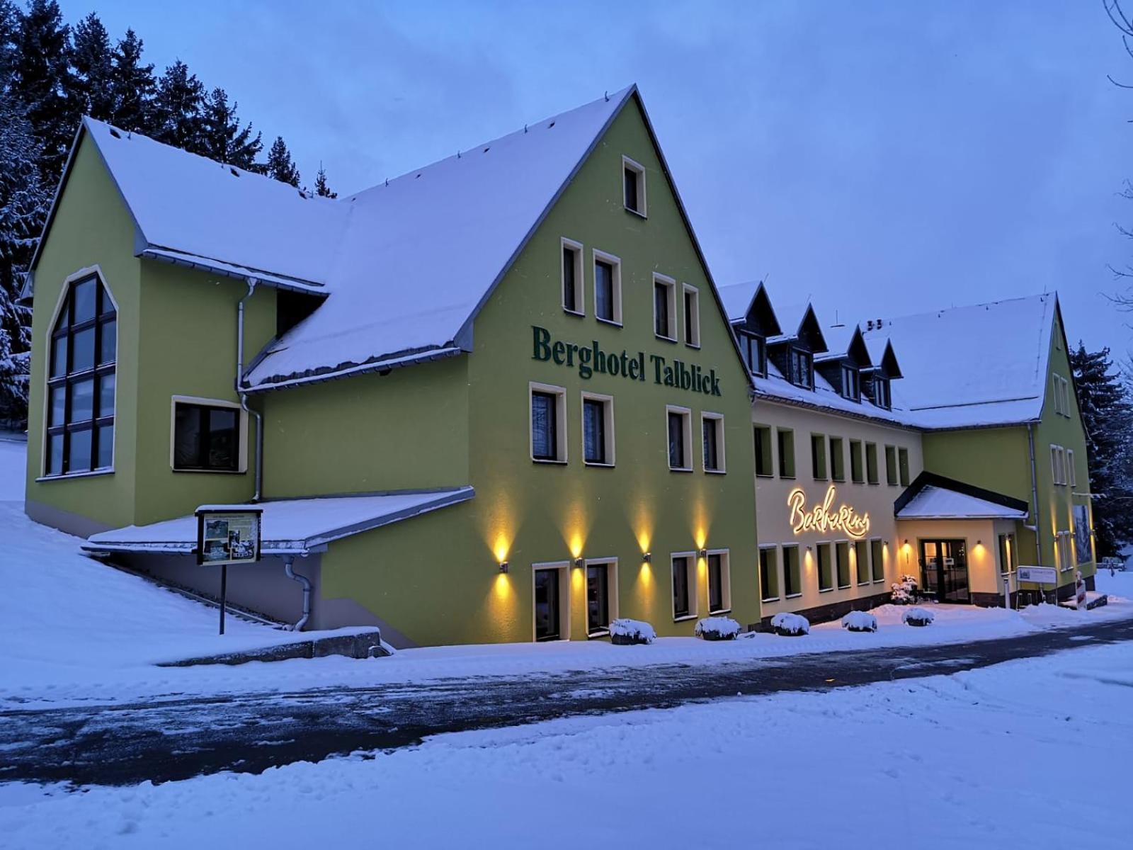 Berghotel Talblick Хольцхау Экстерьер фото